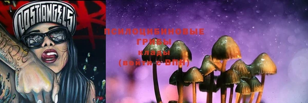 трава Алзамай