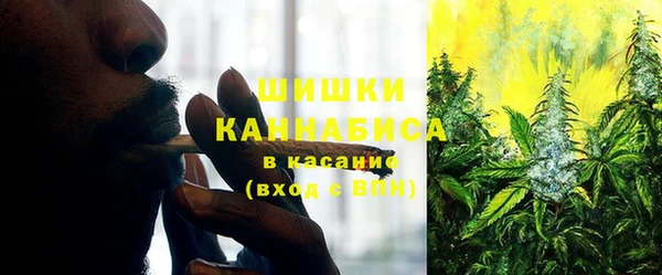 сатива Нягань