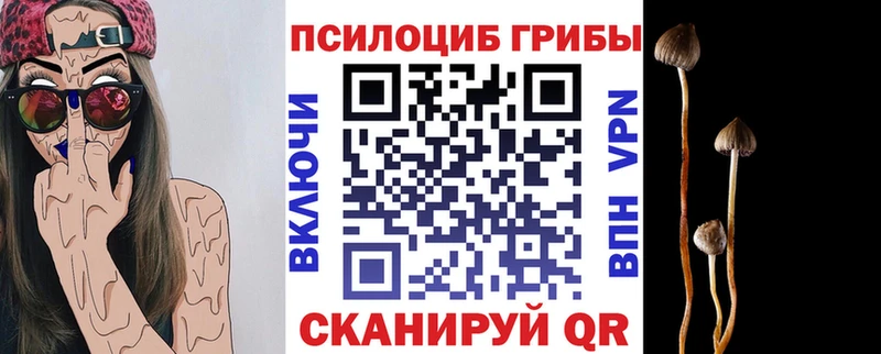 Псилоцибиновые грибы Psilocybine cubensis  где купить наркотик  Гдов 