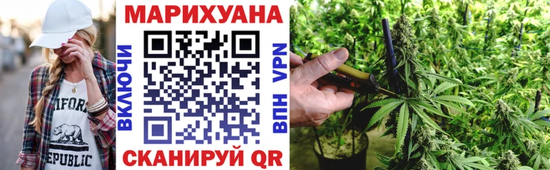 Бошки Шишки OG Kush купить сайты Гдов
